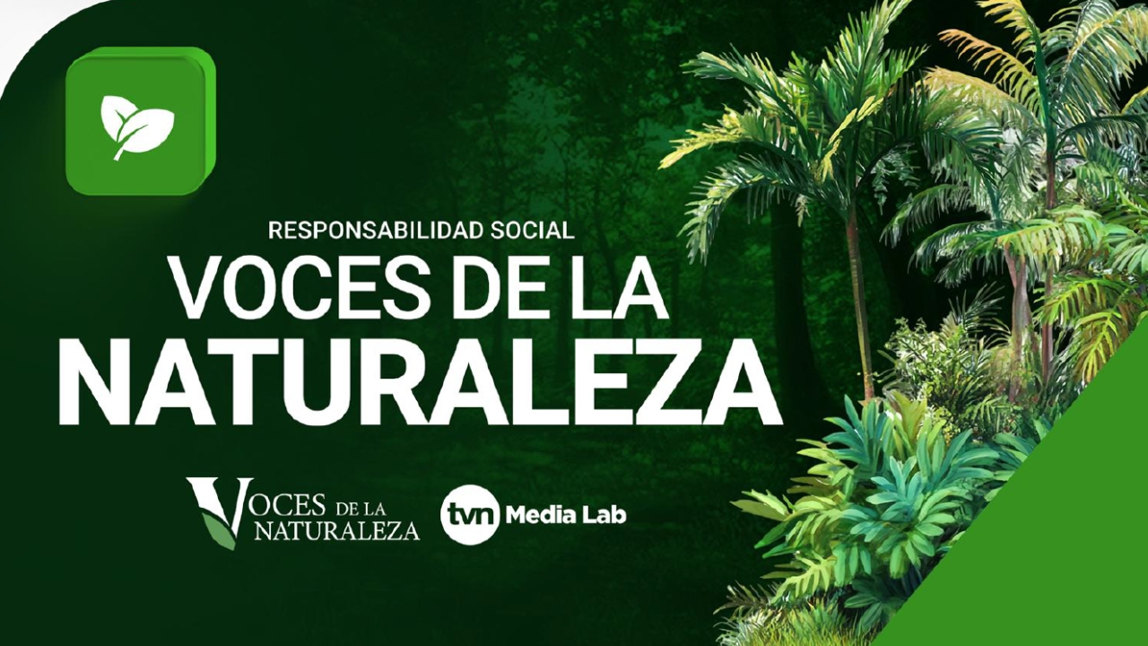 Sostenibilidad