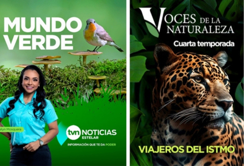 Iniciativas TVN Media - Contenidos Educativos