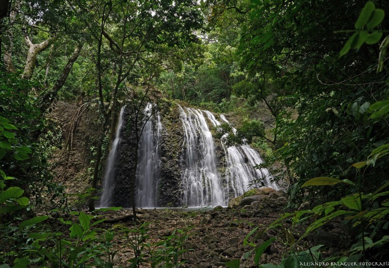 Pilar Medio Ambiente